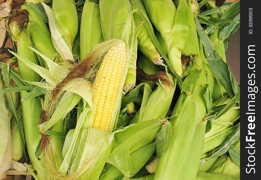 Maize exposed for sale on the market. Maize exposed for sale on the market