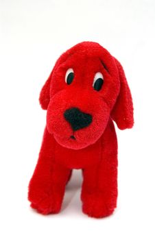 Red Puppy Royalty Free Stock Photo