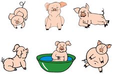 Pigs Royalty Free Stock Photo Pigs Royalty Free Stock Photo