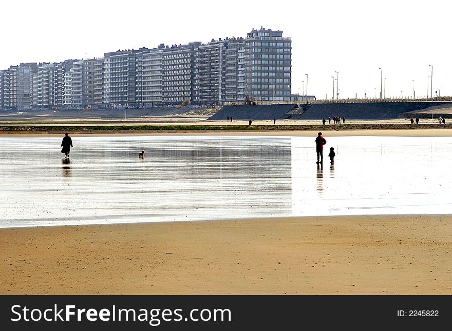 Mother and child are watching an approaching little dog on the beach along the North Sea Coast in Belgium. Mother and child are watching an approaching little dog on the beach along the North Sea Coast in Belgium.