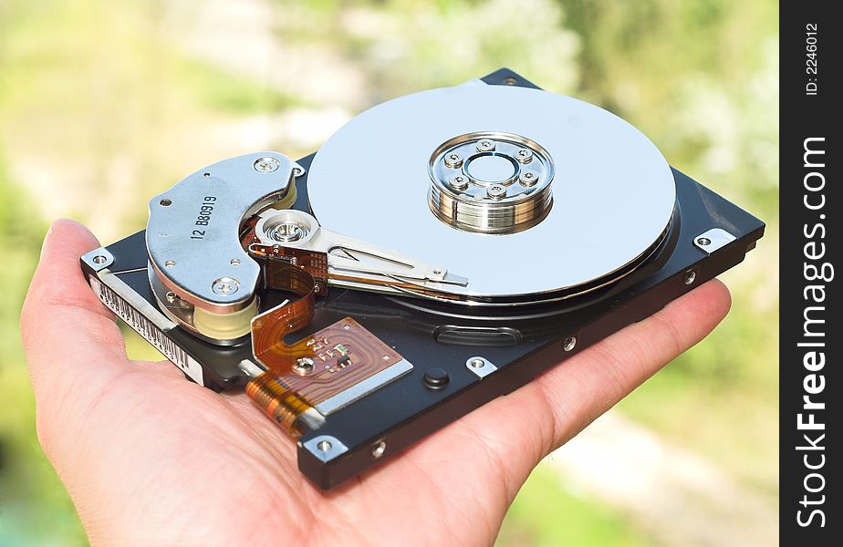 Open Hard Disk on the Palm on vibrant green background. Open Hard Disk on the Palm on vibrant green background