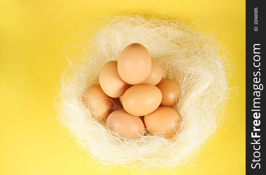 Nest with eggs, on yellow background