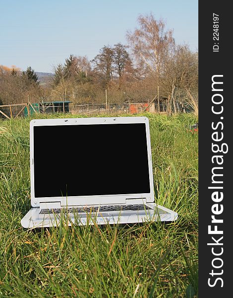 Laptop In The Meadow