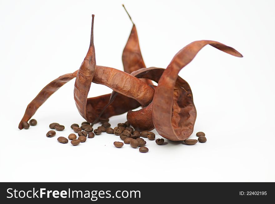 Pods Of Acacia And Coffee Beans