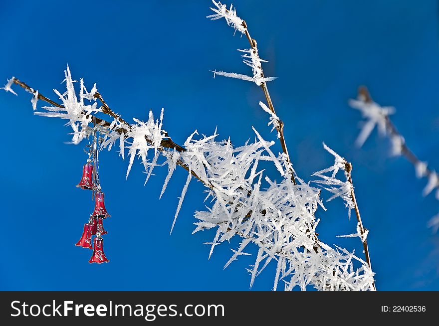 Branch in hoarfrost with a fur-tree toy