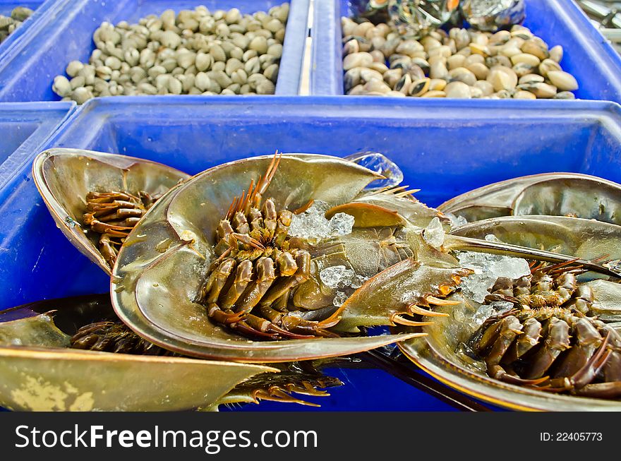 Fresh horseshoe crab on shelf in market of Thailand. Fresh horseshoe crab on shelf in market of Thailand