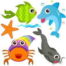 A Colorful Set Of Sealife Royalty Free Stock Photo A Colorful Set Of Sealife Royalty Free Stock Photo