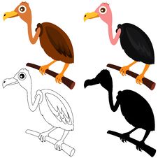 Vector Icons : Vultures - Colors And Silhouette Stock Photo Vector Icons : Vultures - Colors And Silhouette Stock Photo