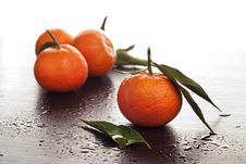 Tangerines With Leaves Royalty Free Stock Photos Tangerines With Leaves Royalty Free Stock Photos
