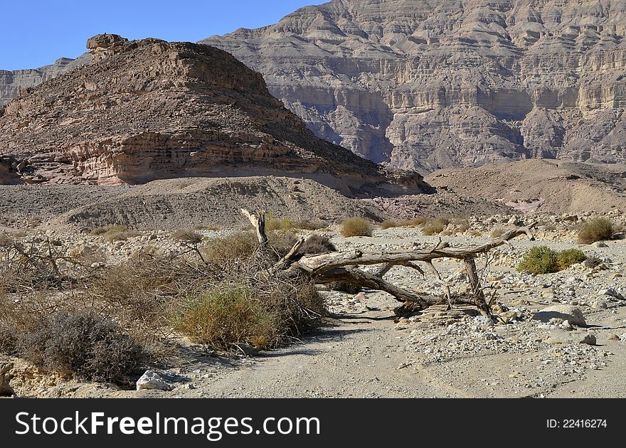 View on canyon of Timna park, Israel