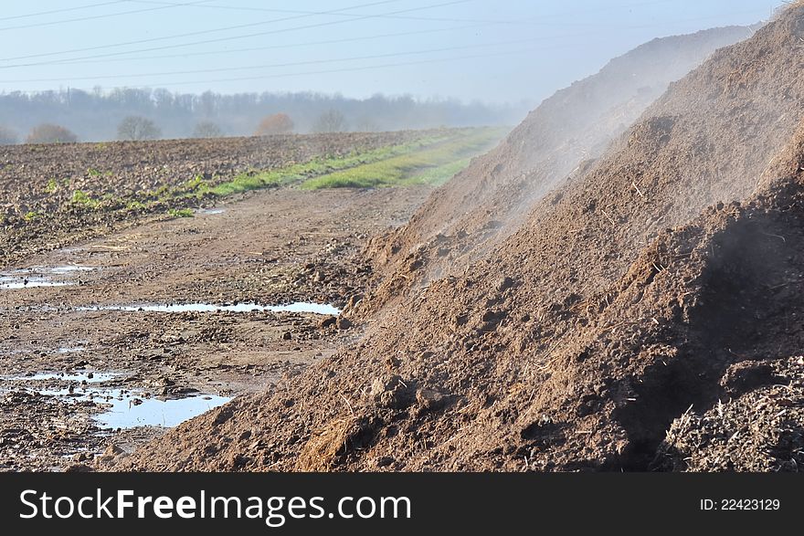 Pile of manure deposited in a field with smoke