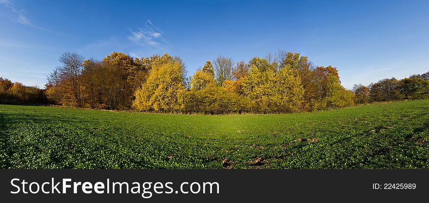 Autumn Panorama