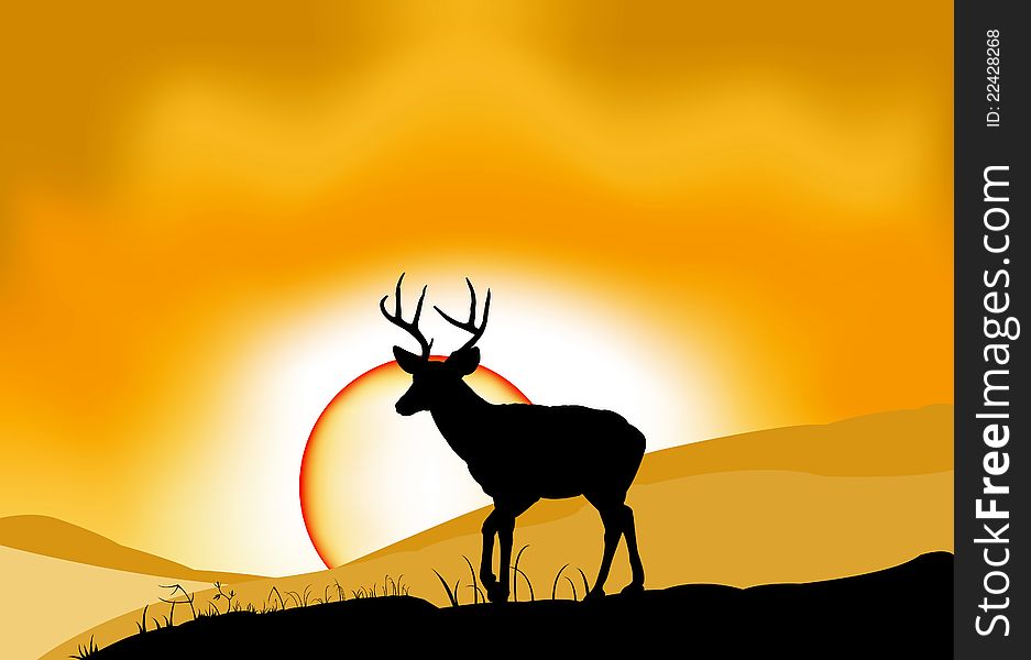 Deer Landscape Sunset