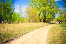 Rural Road Among A Green Forest Royalty Free Stock Photo Rural Road Among A Green Forest Royalty Free Stock Photo