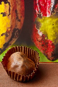 Chocolate Truffles Stock Image Chocolate Truffles Stock Image