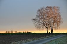 Lonesome Trees With Cross At Sunrise Stock Image Lonesome Trees With Cross At Sunrise Stock Image