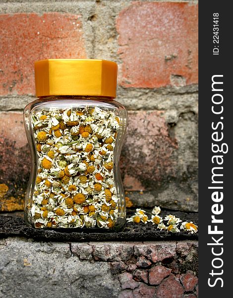 Camomile flowers in glass jar isolated on brick wall background
