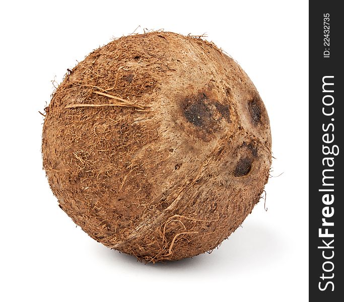 Single coconut against white background