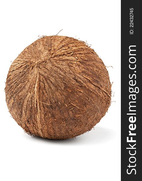 Single Coconut