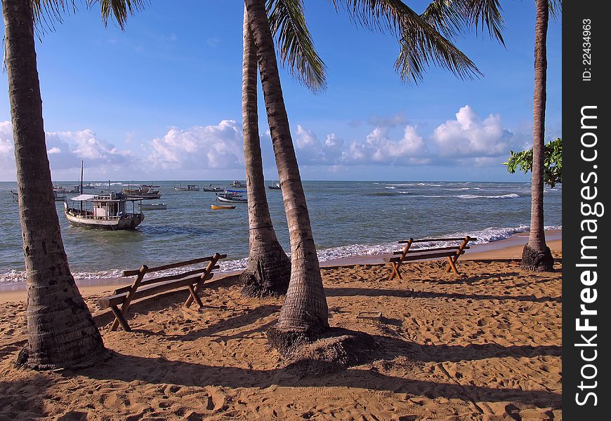 Beach scene with palm bench and boats - Praia do Forte - Salvador - Bahia - Brazil. Beach scene with palm bench and boats - Praia do Forte - Salvador - Bahia - Brazil