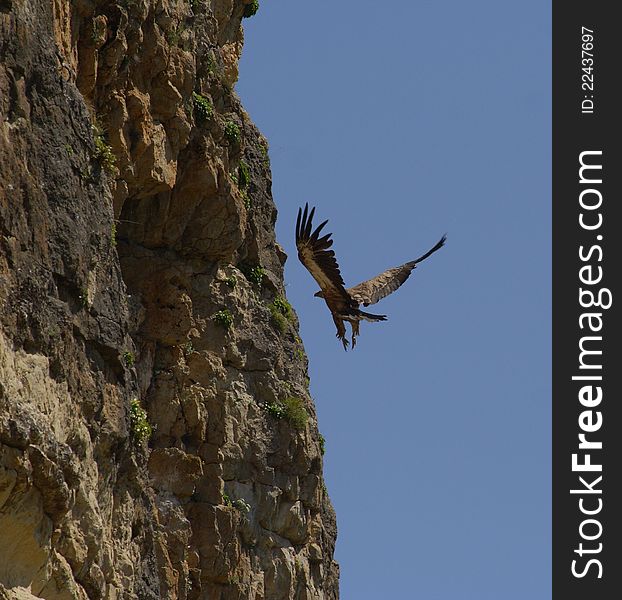 This shot was taken in North Caucasus region, in mountain gorge. This shot was taken in North Caucasus region, in mountain gorge