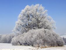 Freezing Winter Royalty Free Stock Images Freezing Winter Royalty Free Stock Images