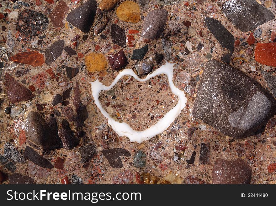 This photo was taken on the Red Sea shore - piece of seashell in stone. This photo was taken on the Red Sea shore - piece of seashell in stone