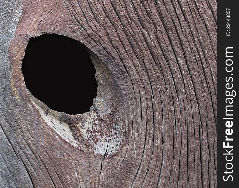 Close-up of an oval knot hole in a board with a curving grain pattern.