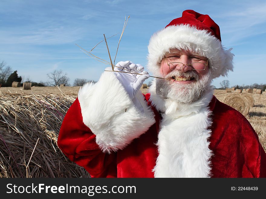 Santa Claus chewing on a piece of straw in a hayfield. Santa Claus chewing on a piece of straw in a hayfield.