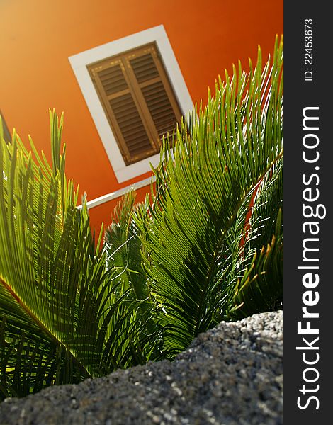 Palm leaves on a background of orange house. Palm leaves on a background of orange house.