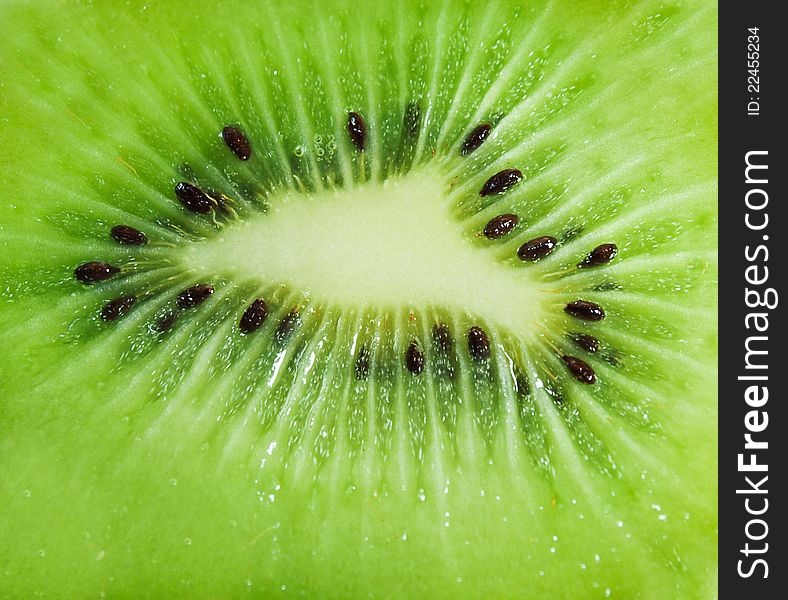Close up of a kiwi. Close up of a kiwi
