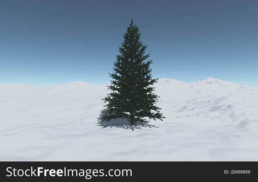 A Single  Spruce Among The Snow Hills