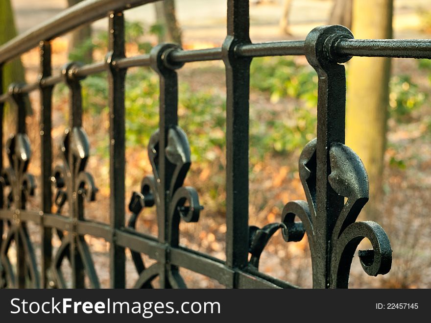 Black decorated fence, close-up macro i sunny autumn day. Black decorated fence, close-up macro i sunny autumn day