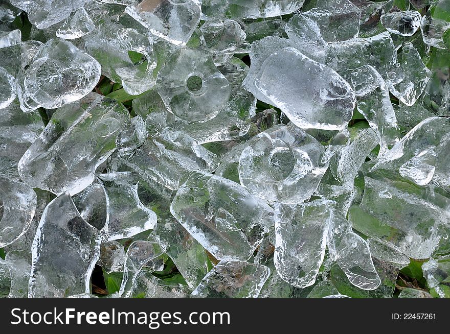 Ice cubes on the leaves.