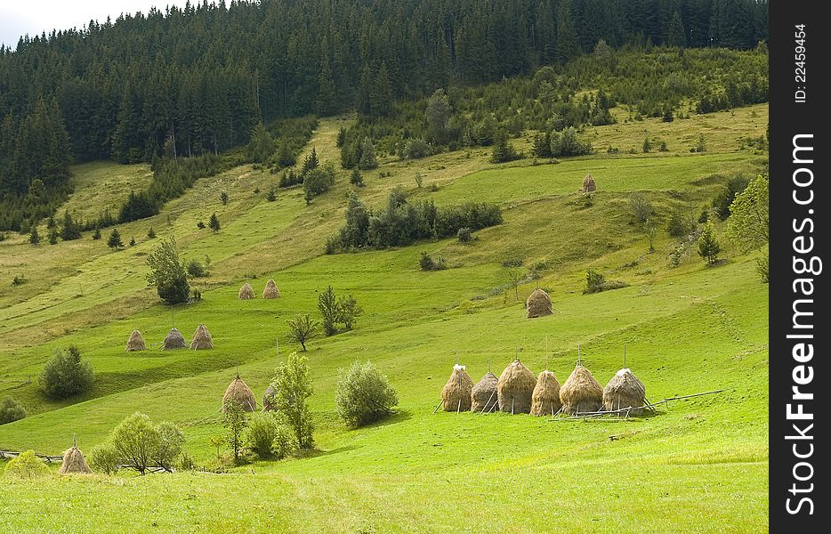 Beautiful Transylvanian mountain landscape with lots of haystacks and green grass. Beautiful Transylvanian mountain landscape with lots of haystacks and green grass.