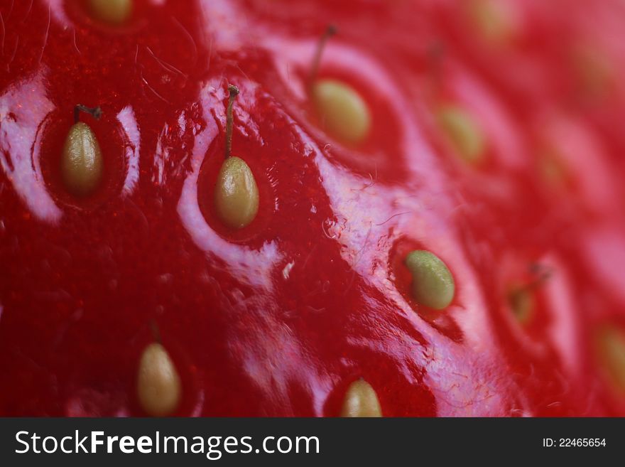 Macro With Red Fruit