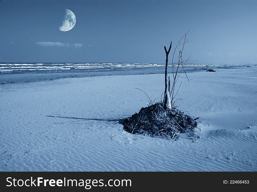 Debris on the beach