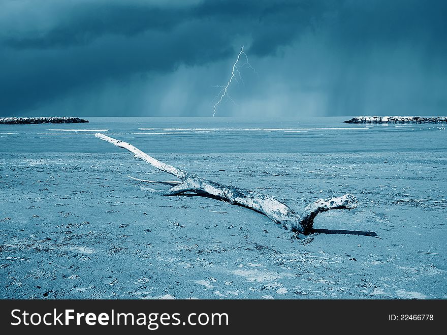 Trunk on the beach