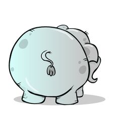 Elephant S Behind Royalty Free Stock Images Elephant S Behind Royalty Free Stock Images