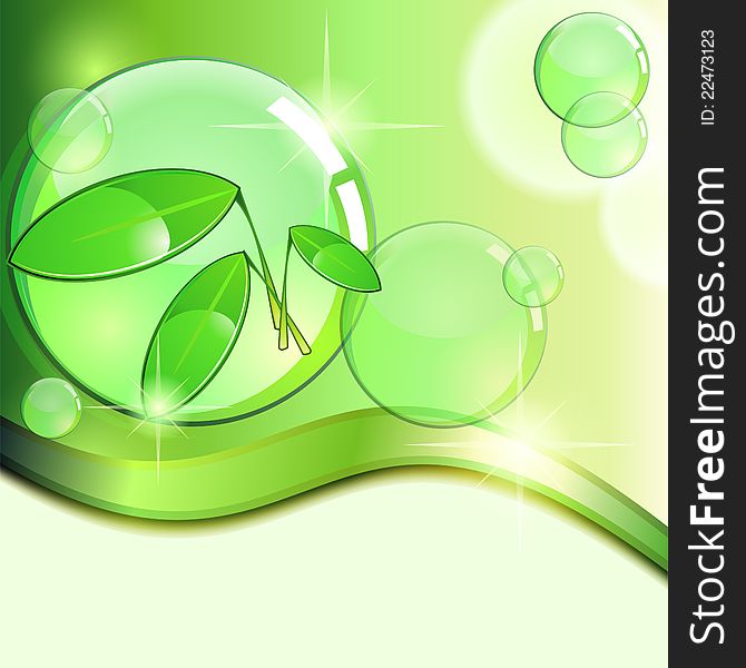 Green background with plant and glossy transparent bubbles. Green background with plant and glossy transparent bubbles