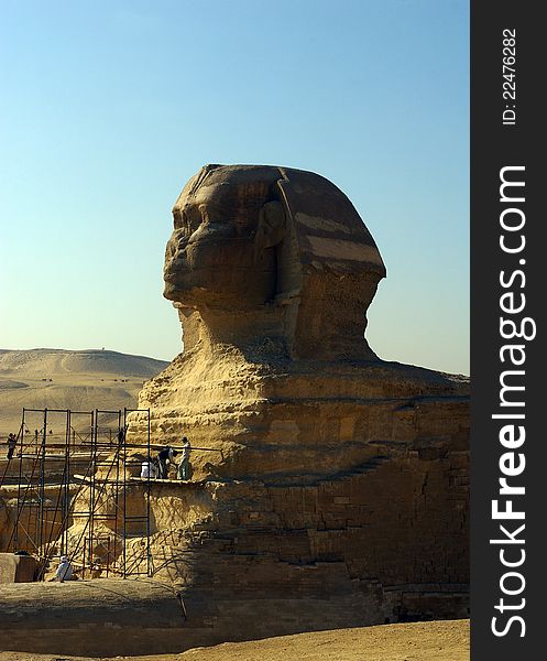 The great egyptian Sphinx of Giza with scaffold for renovation. The great egyptian Sphinx of Giza with scaffold for renovation.