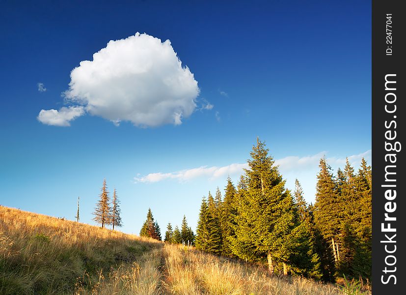 Summer sunny landscape with a cloudy sky. Ukraine, the Carpathian mountains. Summer sunny landscape with a cloudy sky. Ukraine, the Carpathian mountains.