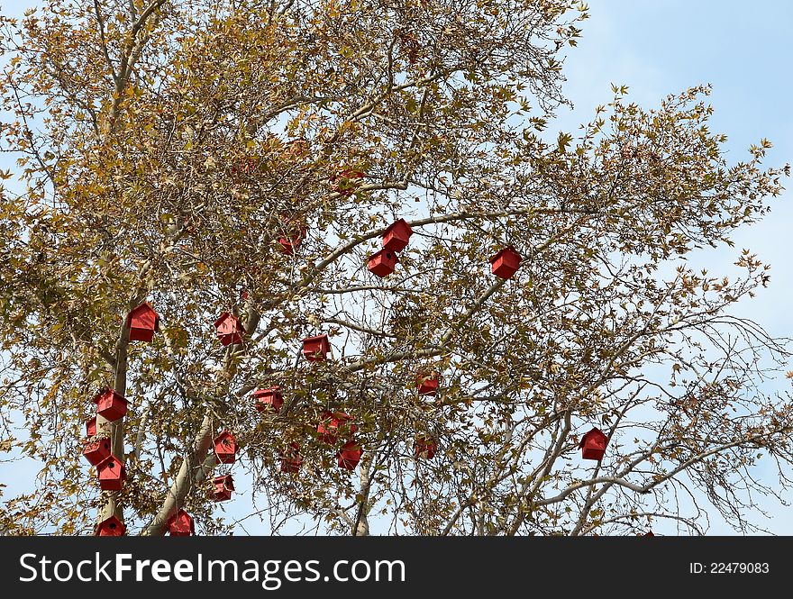 Birds' wooden nests on tree
