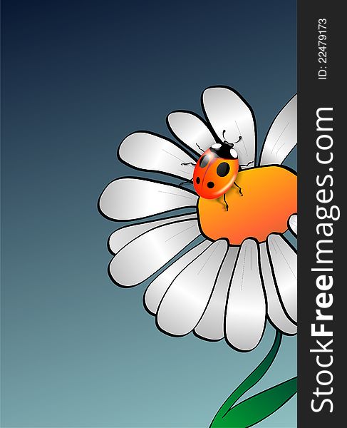 Illustration of a camomile with a ladybug. Illustration of a camomile with a ladybug