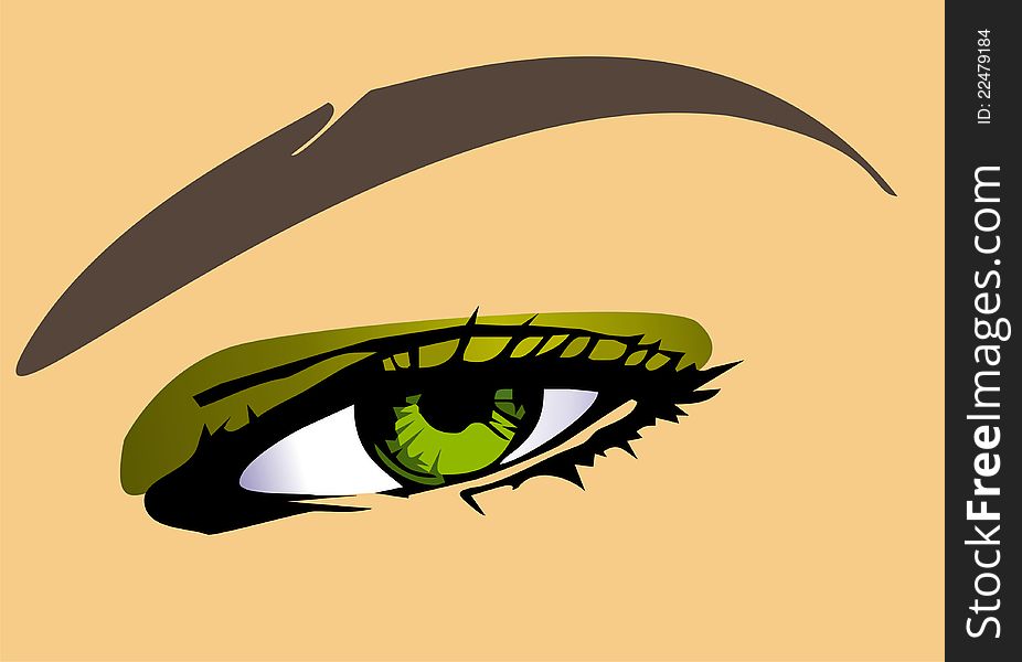 Vector illustration of a beautiful woman eye close up. Vector illustration of a beautiful woman eye close up