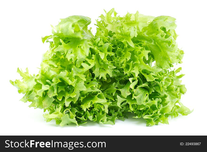 Vegetables isolated healthy garden plants. Vegetables isolated healthy garden plants