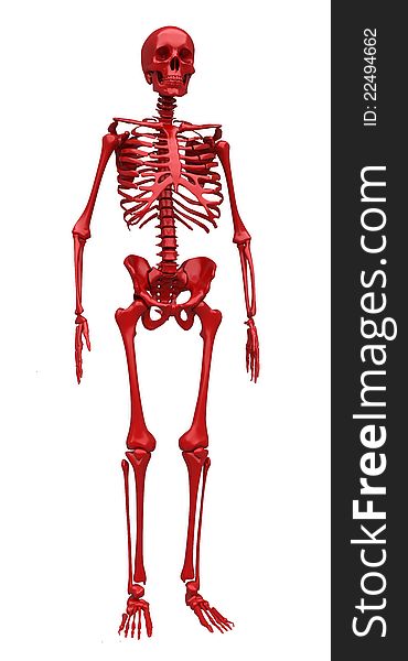 Red Skeleton