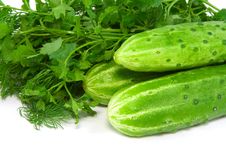 Cucumbers Stock Image Cucumbers Stock Image