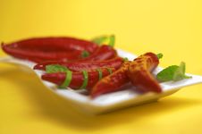 Red Chili With Oregano Royalty Free Stock Images