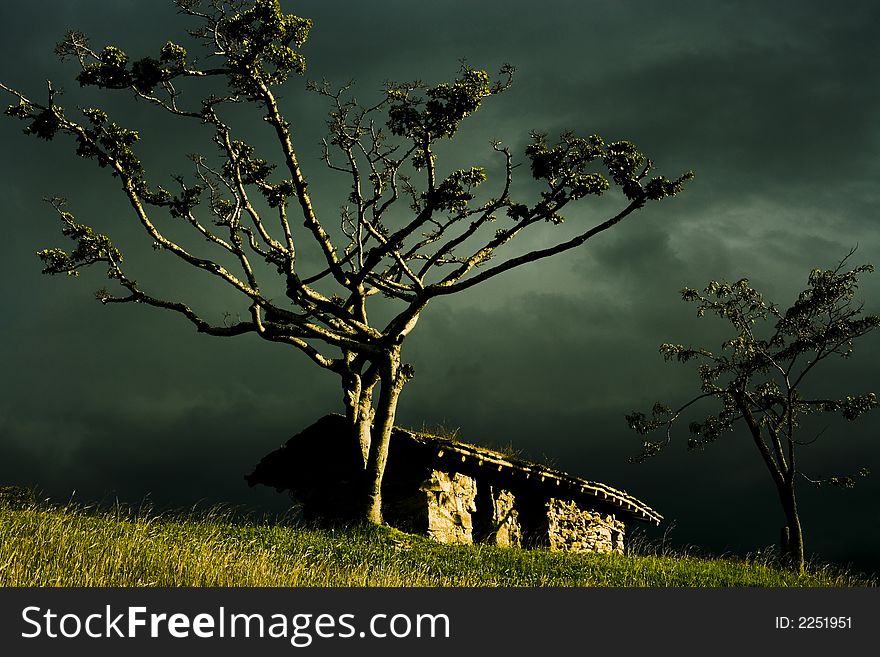 A small primitive clay hut in a large grassy landsscape with a large imposing tree infront. A small primitive clay hut in a large grassy landsscape with a large imposing tree infront.